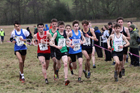 Junior men, 2018 Northern Cross Country Champs., Harewood House, Leeds. Photo: David T. Hewitson/Sports for All Pics